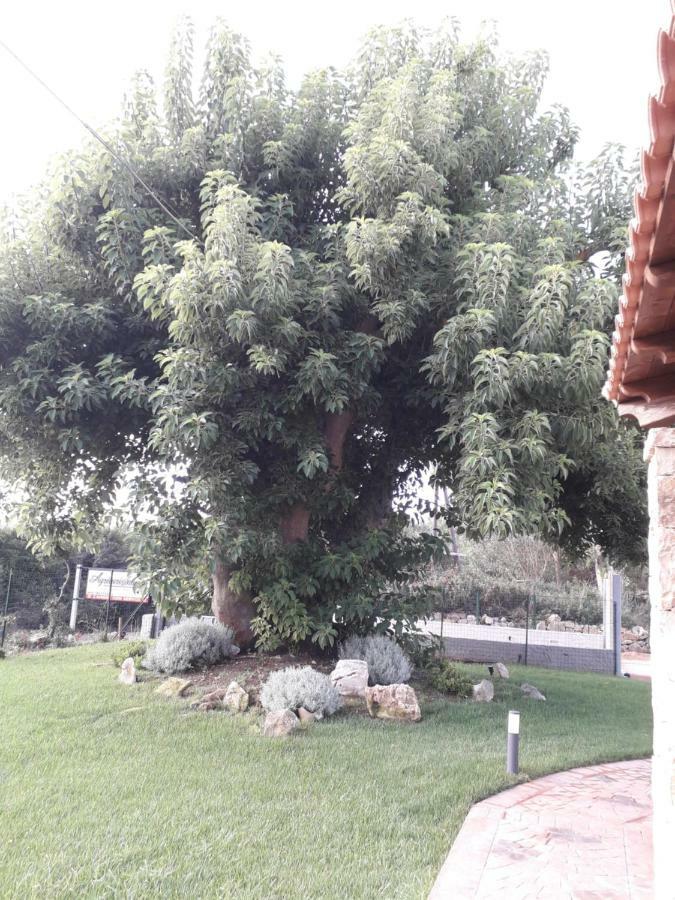 Agriturismo Quattro Mori Porto Torres Exterior photo
